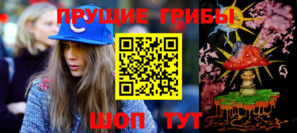 купить наркотик  Вход с VPN  Славгород  Галлюциногенные грибы прущие грибы 
